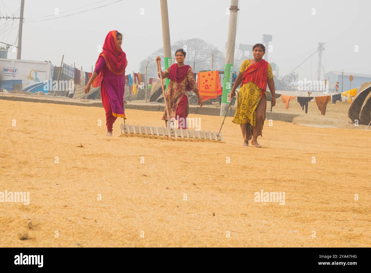 Ashuganj, Brahmanbaria, 26. Januar 2023, Arbeiter, die in einer kleinen Reismühle arbeiten, traditionelles Reisverfahren Reiskörner trocknen in der Sonne von Bangladesch. Stockfoto