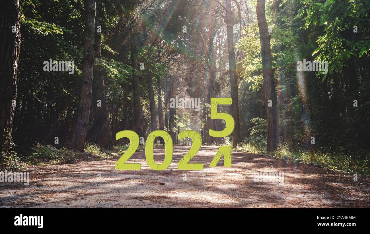 Happy New Year 2025 Jubiläum steht bevor. Übergang von 2024 zum Neujahrskonzept mit Text für 2024 über Forststraße. Stockfoto