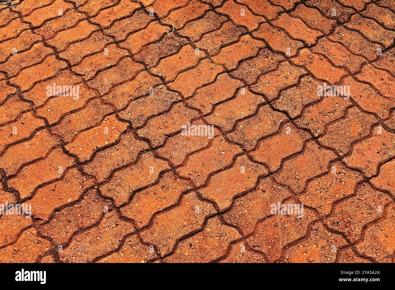 Gemusterter Pflaster mit roten Ziegeln in Ribeirao Preto, Sao Paulo, Brasilien Stockfoto