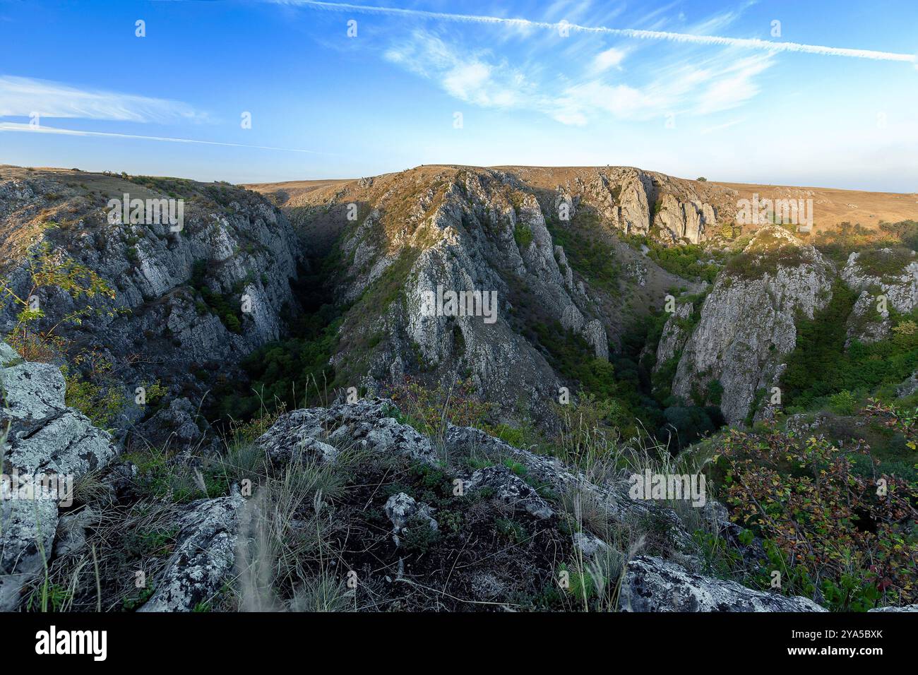 Ein fantastischer Blick auf die Tureni-Schlucht mit steilen Klippen, üppigem Grün und gewundenen Pfaden Stockfoto