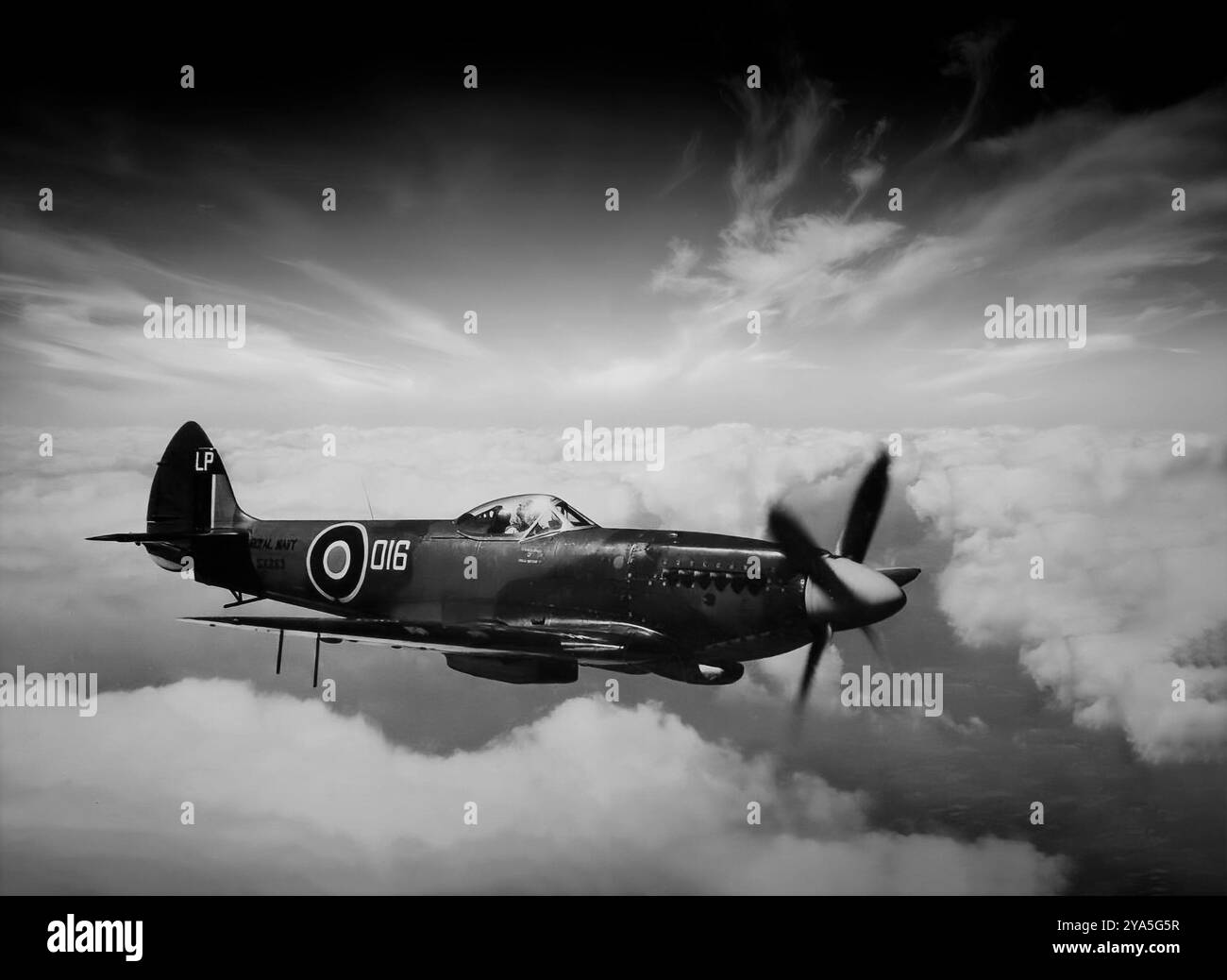 Ein Supermarine Seafire, die Marineversion des Supermarine Spitfire, die für den Einsatz von Flugzeugträgern angepasst wurde. Das erste einsatzfähige Seafire, das F Mk. Die III-Variante wurde 1942 verfügbar, was zu einer weitverbreiteten Verwendung mit dem Fleet Air Arm führte. Die erste Schlacht fand im November 1942 während der Operation Torch statt, der alliierten Landungen in Nordafrika, und diente dann als Luftabdeckung für die alliierte Invasion Siziliens und Italiens. Im Jahr 1944 leistete eine große Anzahl von Flugzeugen während der Landungen in der Normandie Unterstützung der Bodentruppen und schloss sich später der British Pacific Fleet an. Stockfoto