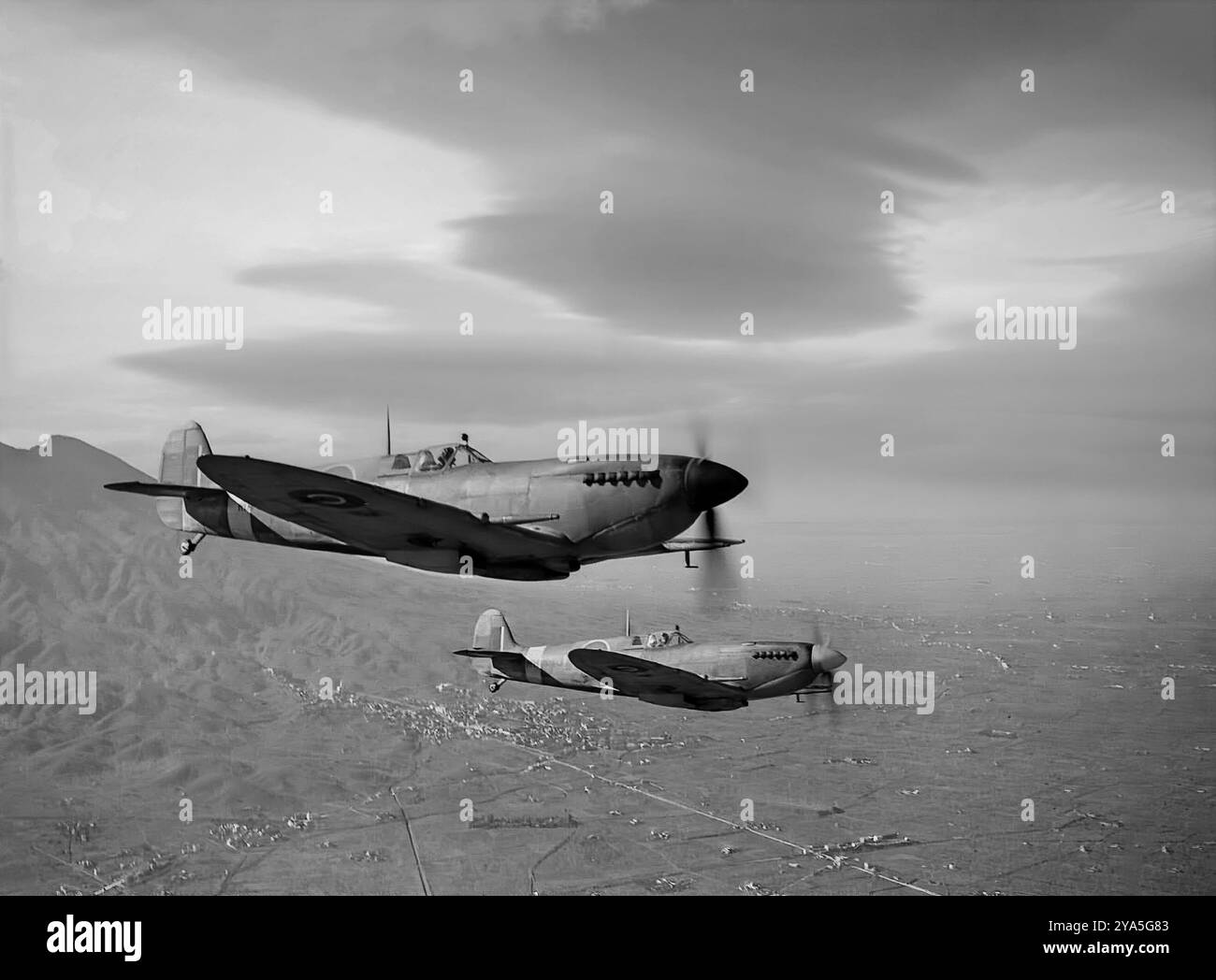 Zwei Supermarine Spitfire Mark IX, ein Stop-Gap-Projekt, um den neuen zweistufigen Merlin Kompressormotor in eine Mk V-Flugzeugzelle zu integrieren. Es wurde viel länger produziert, als man es sich vorstellen konnte, und bildete den Großteil der Ausrüstung des Fighter Command während der Mittelkriegsjahre. Die IX gab es in Versionen für den Kampf in niedriger Höhe mit abgeschnittenen Flügeln und für hohe Höhen mit verlängerten Flügelspitzen sowie in der serienmäßig produzierten Standardjägerversion. Das britische einsitzige Kampfflugzeug wurde von der Royal Air Force und anderen alliierten Ländern vor, während und nach dem Zweiten Weltkrieg eingesetzt Stockfoto