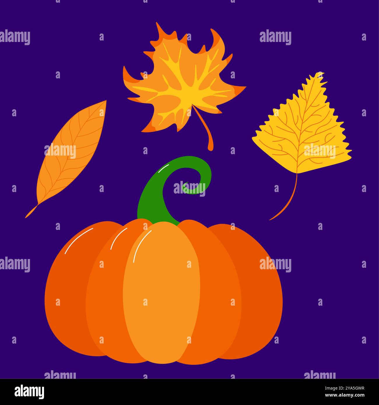 Herbstset aus orangefarbenen Blättern und Kürbis im Cartoon-Stil auf violettem Hintergrund. Vektor halloween und Thanksgiving Illustration Stock Vektor