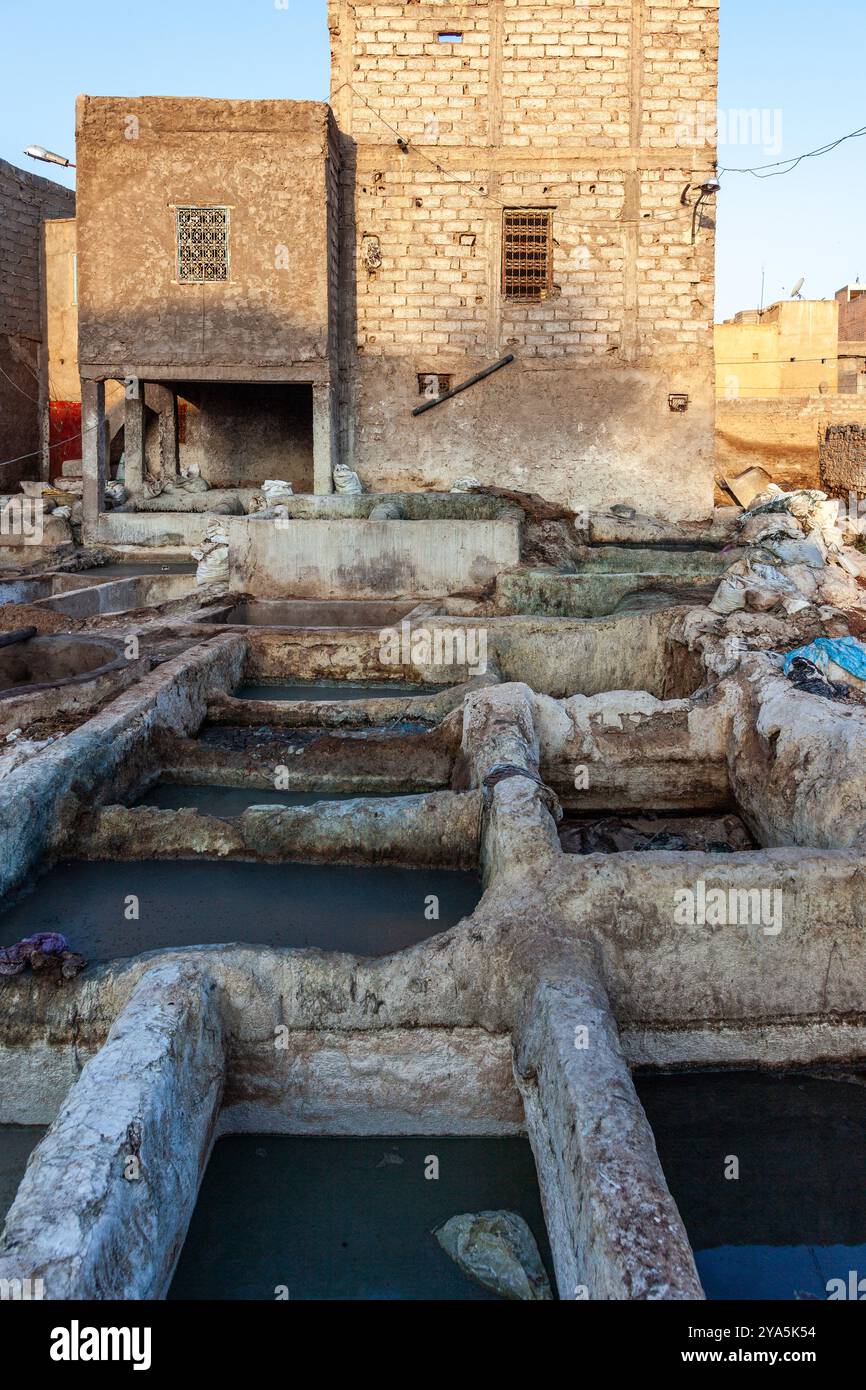 Ledergerberei in der Medina von Marrakesch Stockfoto