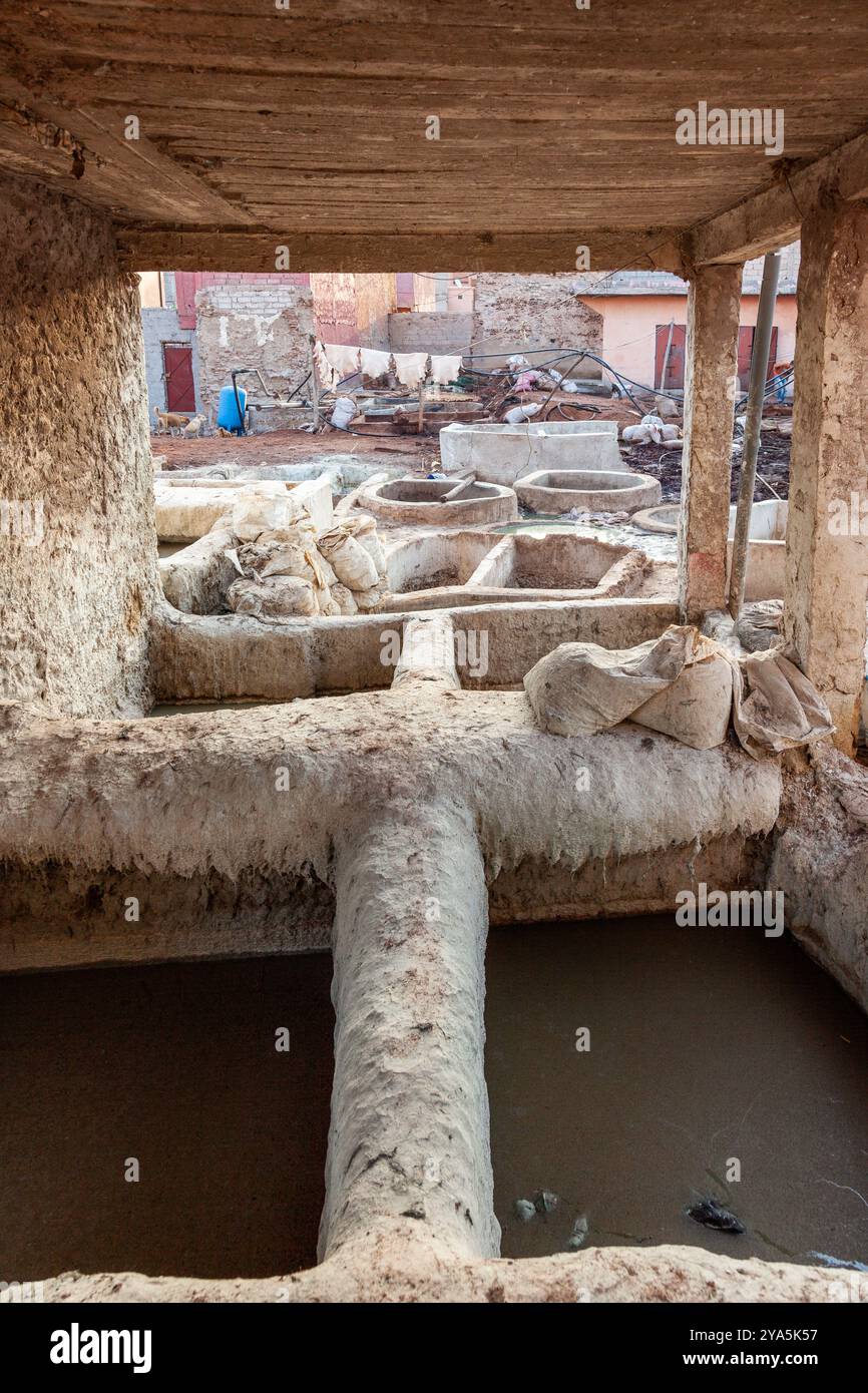 Ledergerberei in der Medina von Marrakesch Stockfoto