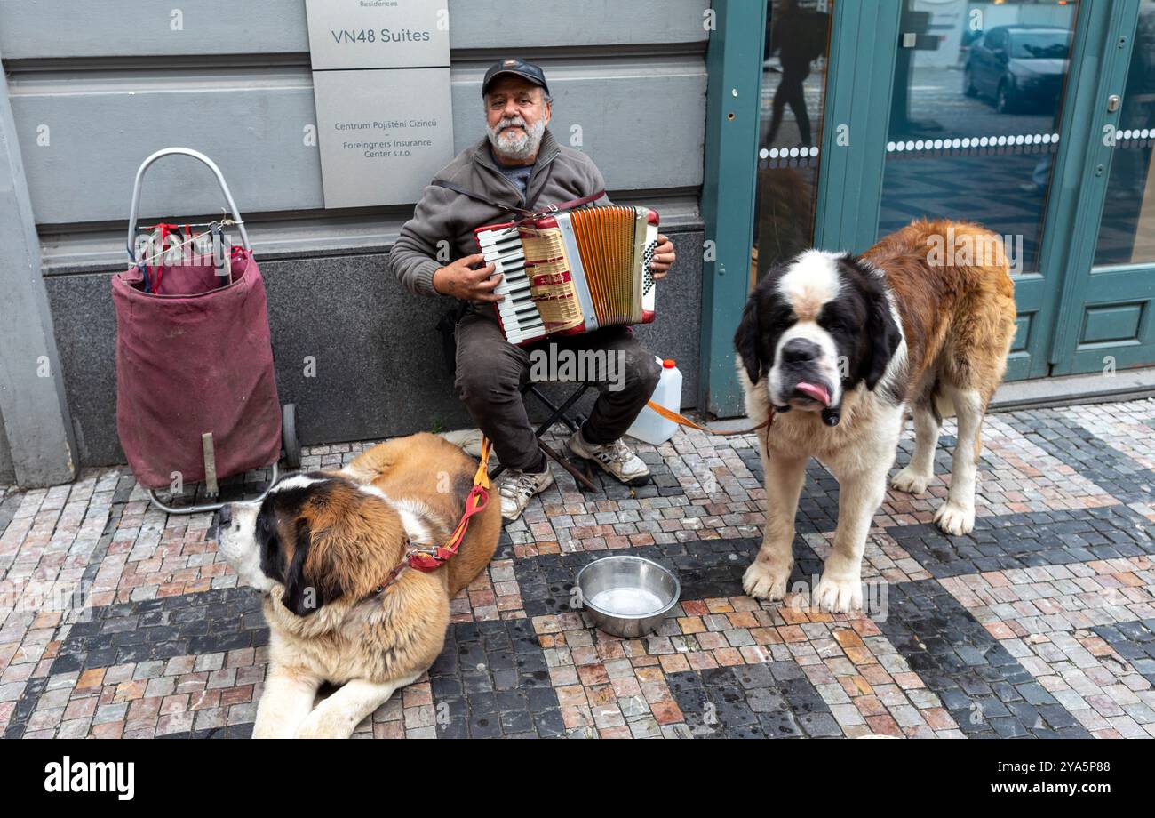 Ein Busker mit seinen Hunden Prag Tschechien Stockfoto
