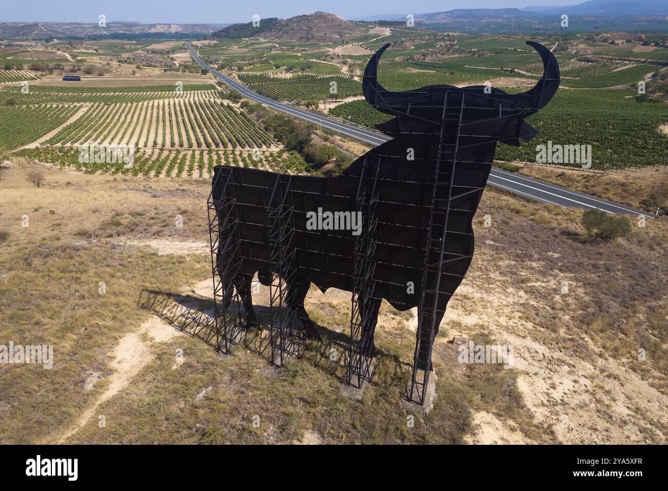Osborne Bulle in San Asensio, La Rioja, Spanien Stockfoto