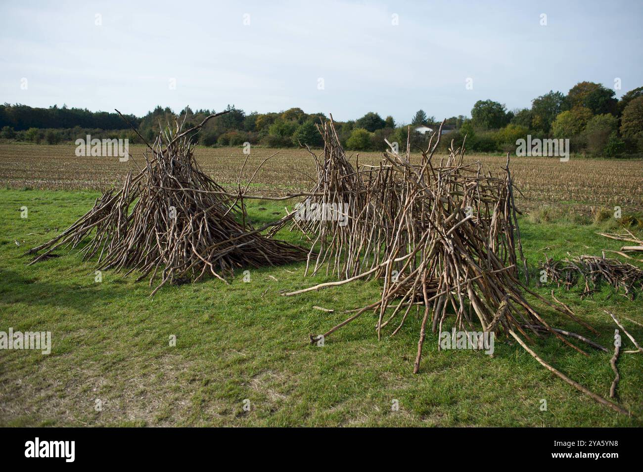 Oeversee, Schleswig-Holstein Kunst am Großsteingrab Arnkielpark in Munkwolstrup, OT v. Oeversee. Landschaftskünstler Wolfgang Buntrock hat monumentale Ochsen-Skulpturen aus Ästen geschaffen, die vier Meter in die Höhe ragen. Hier: Ablageplatz für die zu Äste. Aufnahme vom 12.10.2024 *** Oeversee, Schleswig Holstein Kunst am Arnkielpark Megalithgrabmal in Munkwolstrup, OT V Oeversee Landschaftskünstler Wolfgang Buntrock hat monumentale Ochsenskulpturen aus Ästen geschaffen, die vier Meter in die Luft ragen hier Lagerraum für die Äste Foto aufgenommen am 12 10 2024 Stockfoto