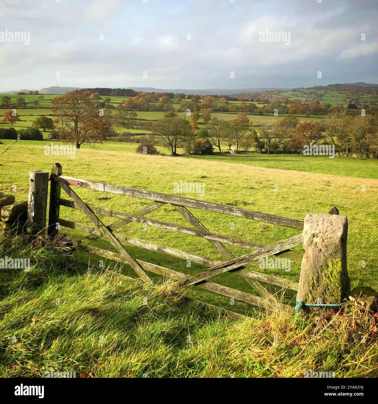 Ein Farmtor in Derbyshire, England, Großbritannien Stockfoto