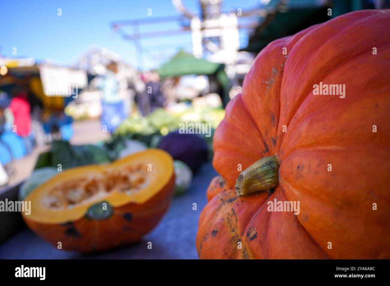 Kürbis, der auf einem Wochenmarkt in Norddeutschland im Freien ohne Person präsentiert wird. Herbstmotiv für Halloween und Thanksgiving Stockfoto