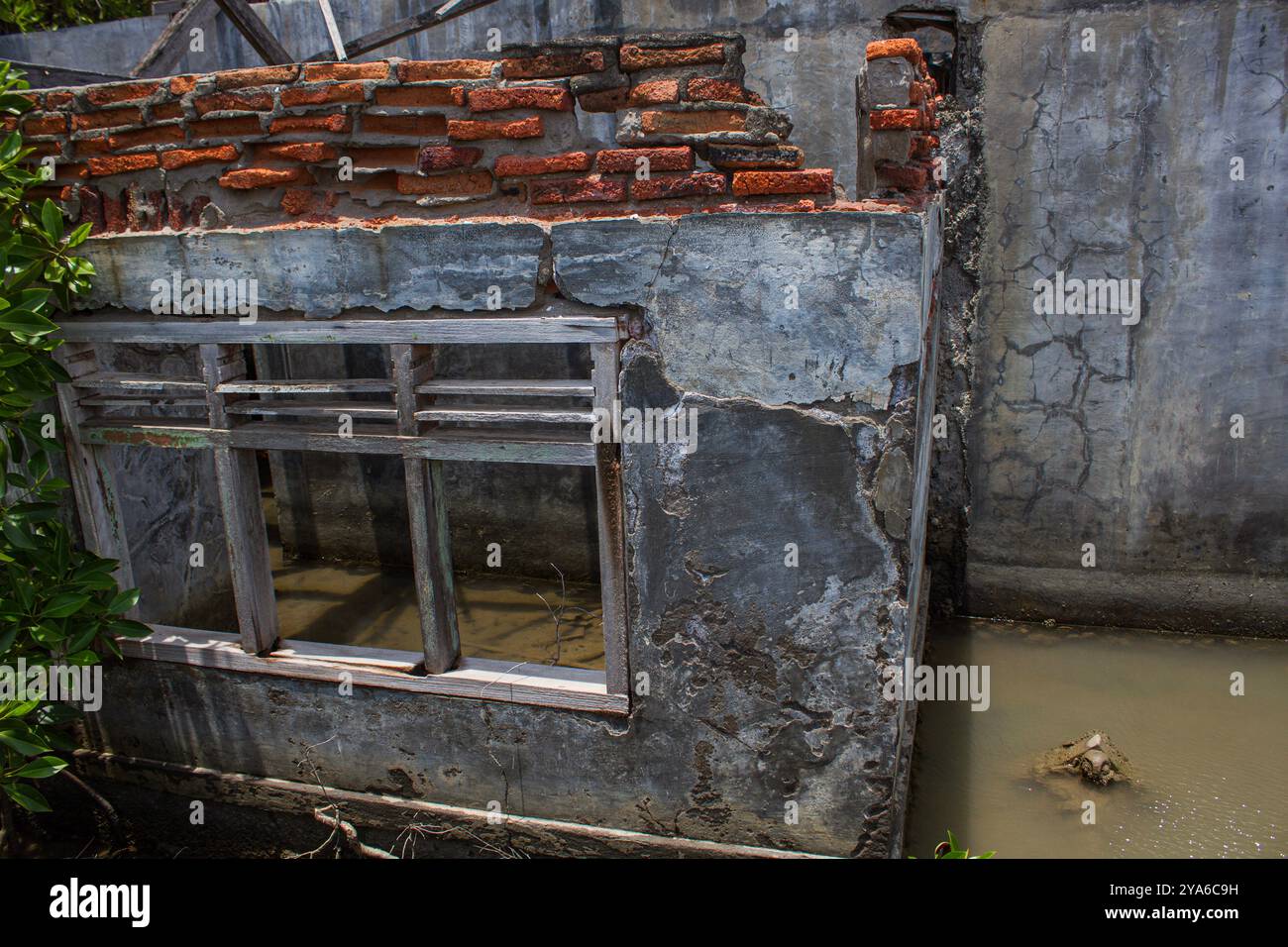 Subang, West-Java, Indonesien. Oktober 2024. Ein Blick auf das Haus im Dorf Mayangan wurde beschädigt, wo Teile des Gebiets aufgrund von Wellenabrieb und steigenden Meeresspiegeln in Mayangan Village, Subang, West Java, untergetaucht sind. Die Abschürfung an der Nordküste in West-Java ist besonders im Mayangan Village in Subang Regency, einem der am stärksten von Abschürfungen betroffenen Dörfer, stark ausgeprägt. Wird das Dorf nicht sofort verhindert, verschwindet es erodiert vom Meerwasser. Das Gebiet des Dorfes war früher etwa 300 Hektar Land mit 1000 Menschen hier, aber etwa 70 % der Reisfelder, Teiche und Stockfoto