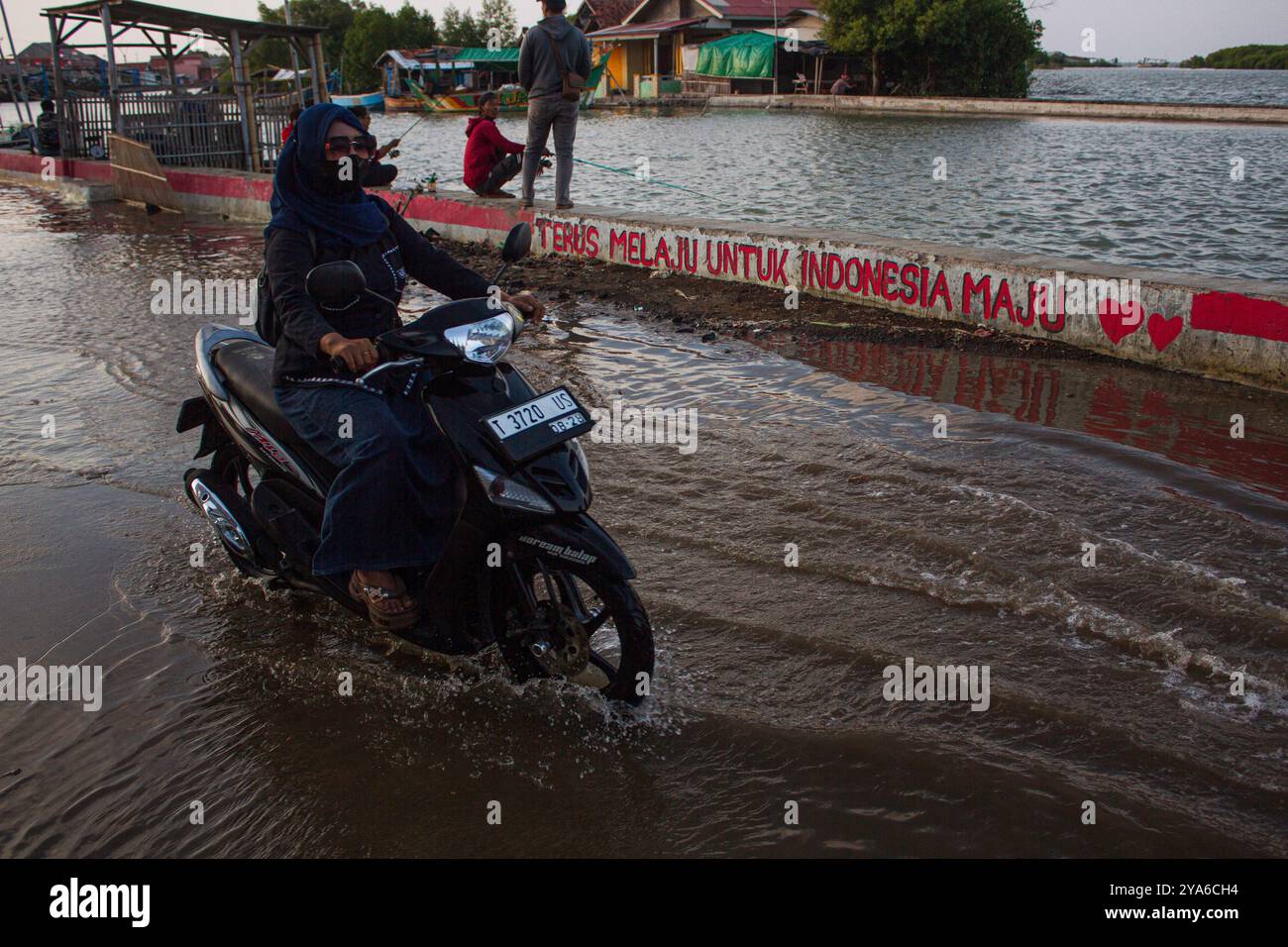 Subang, West-Java, Indonesien. Oktober 2024. Eine Frau fährt mit dem Motorrad, während Wasser die Dorfstraßen aufgrund des Meeresspiegelanstiegs und der Abschürfung im Dorf Mayangan, Subang, Indonesien, überschwemmt. Die Abschürfung an der Nordküste in West-Java ist besonders im Mayangan Village in Subang Regency, einem der am stärksten von Abschürfungen betroffenen Dörfer, stark ausgeprägt. Wird das Dorf nicht sofort verhindert, verschwindet es erodiert vom Meerwasser. Das Gebiet des Dorfes war früher etwa 300 Hektar Land mit 1000 Menschen hier, aber etwa 70 % der Reisfelder, Teiche und Siedlungen sind aufgrund der Tatsache verloren gegangen Stockfoto