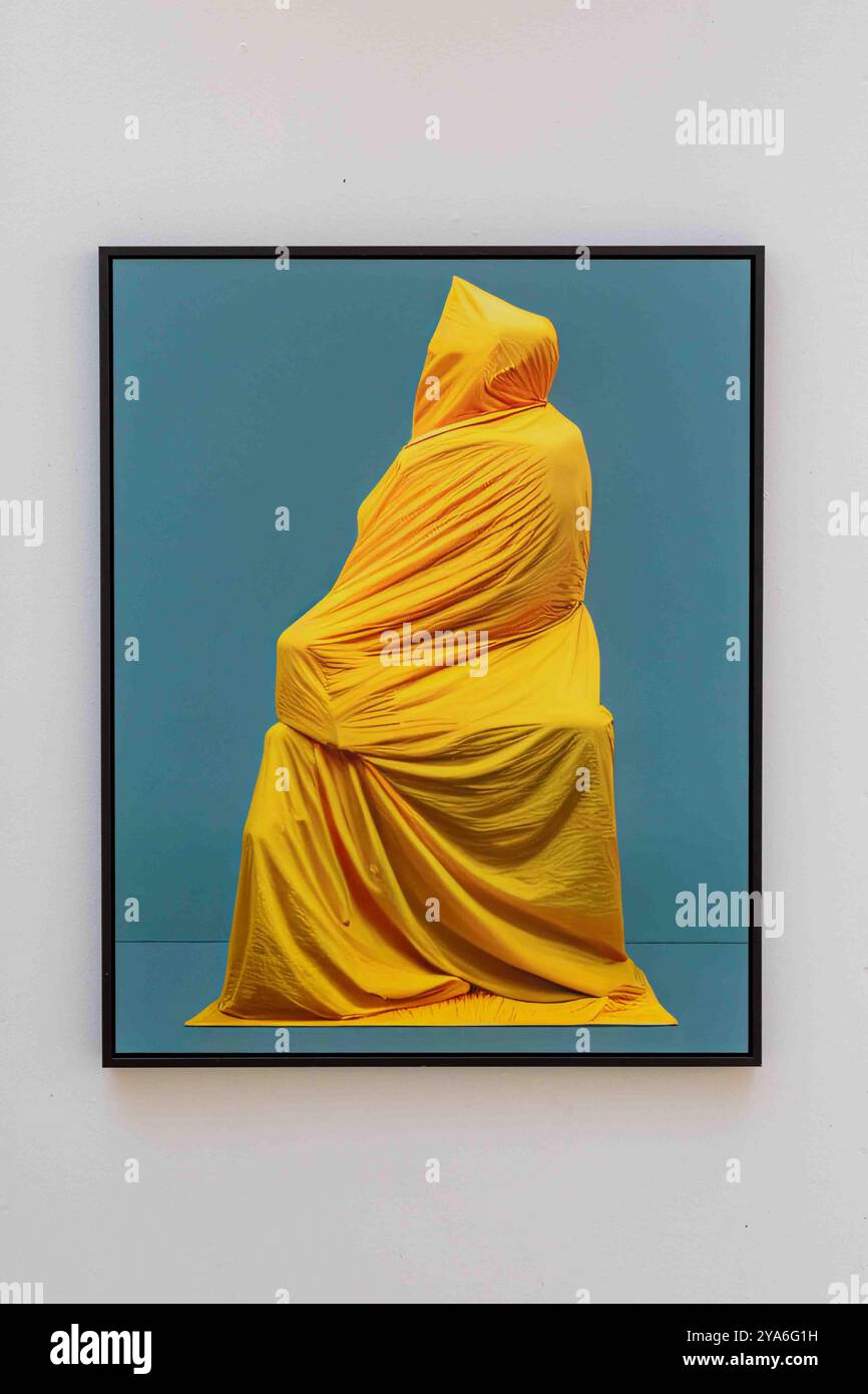 Kunstwerk Nr. 00158 der Wrapped Wonders Serie von SerraGlia in der Sommerausstellung Observation des Art Center Purnu in Orivesi, Finnland Stockfoto