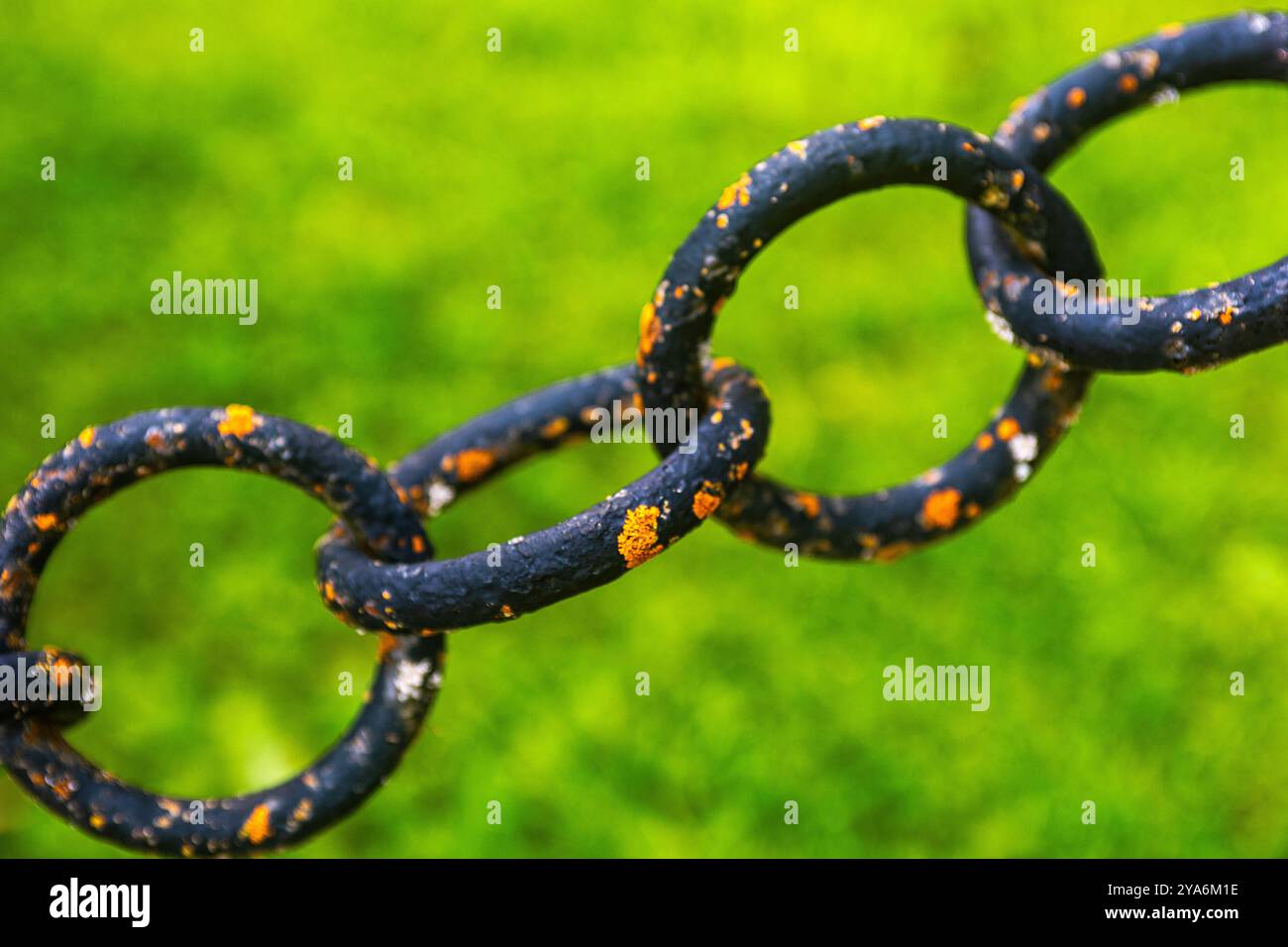 Schwarze Kette mit Flechten auf grünem Hintergrund Stockfoto