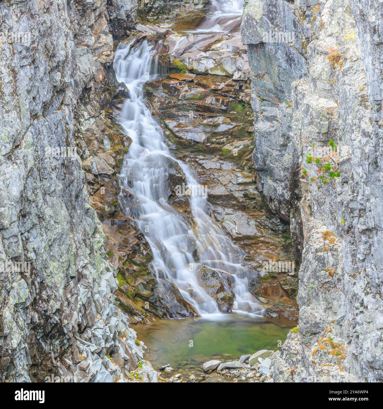 Wasserfall in einer tiefen Schlucht aus Cottonwood Creek in den verrückten Bergen in der Nähe des clyde Park, montana Stockfoto