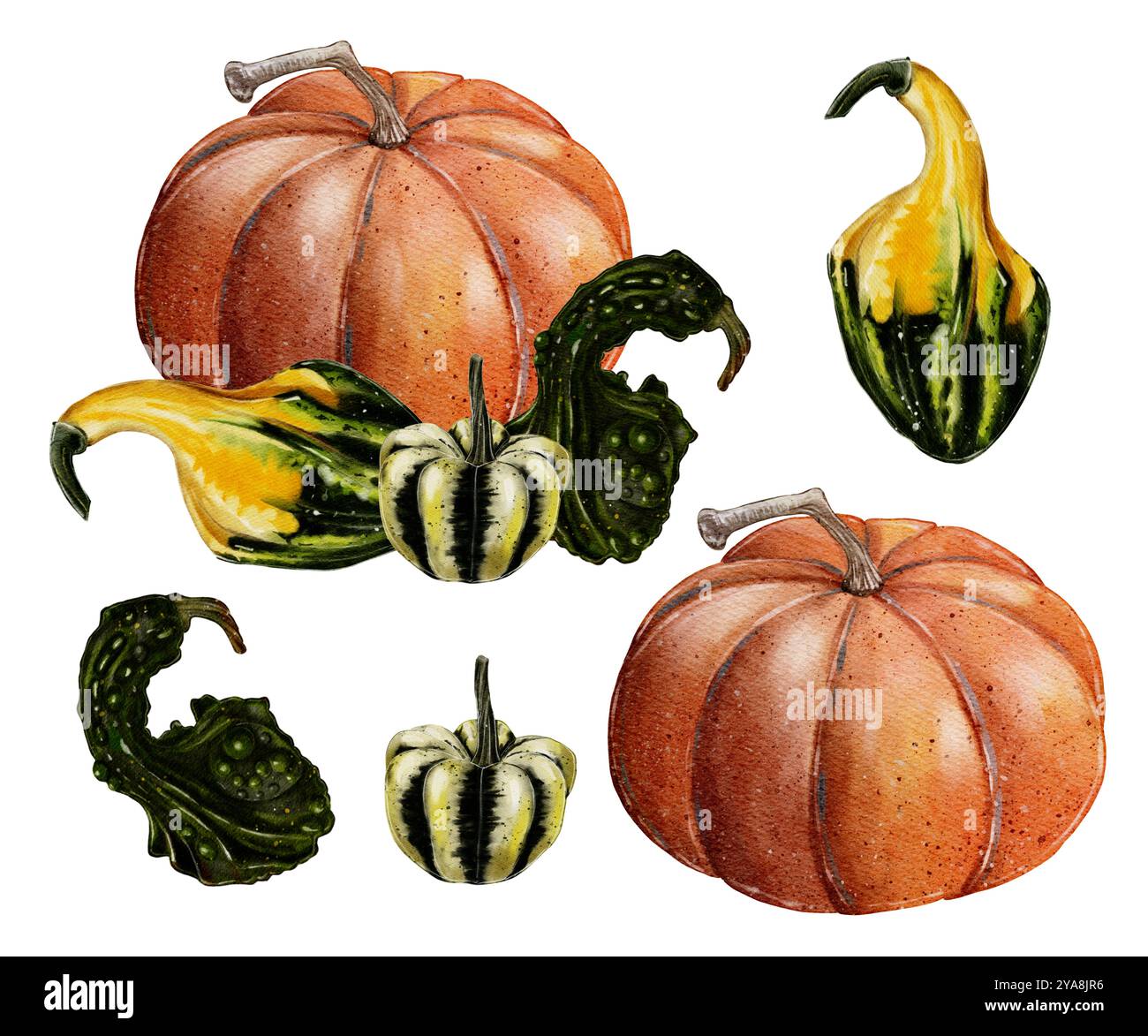 Kürbisset, Aquarellillustration auf weißem Hintergrund. Herbsternte, Dekor für Halloween. Set, Komposition, klassischer orangefarbener Kürbis und kleine dekorative Kürbisse. Designtypografie, Textilien Stockfoto