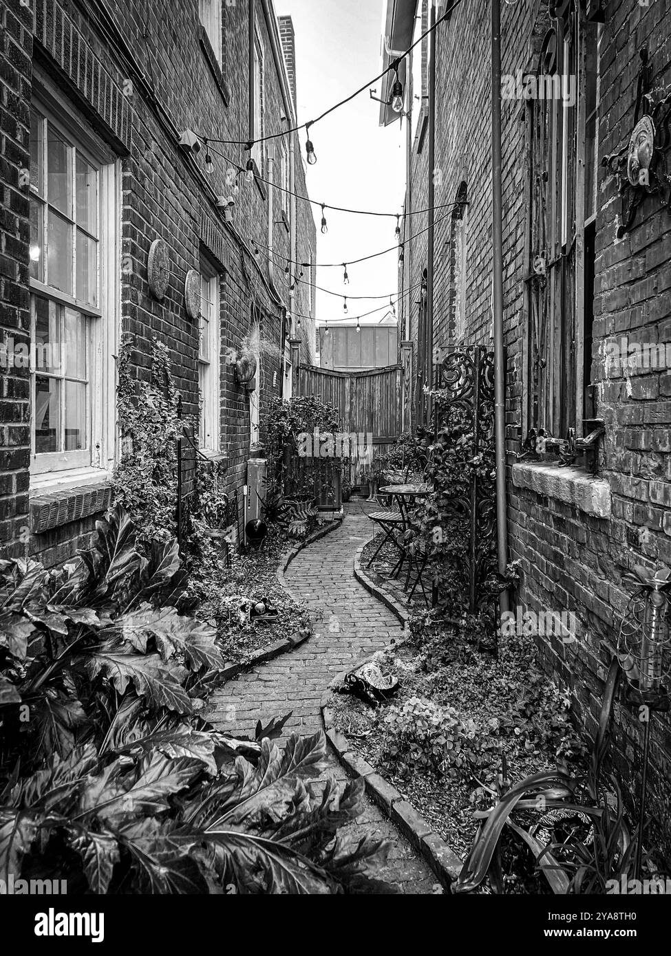 Beaufort Courtyard, Beaufort, North Carolina, USA Stockfoto