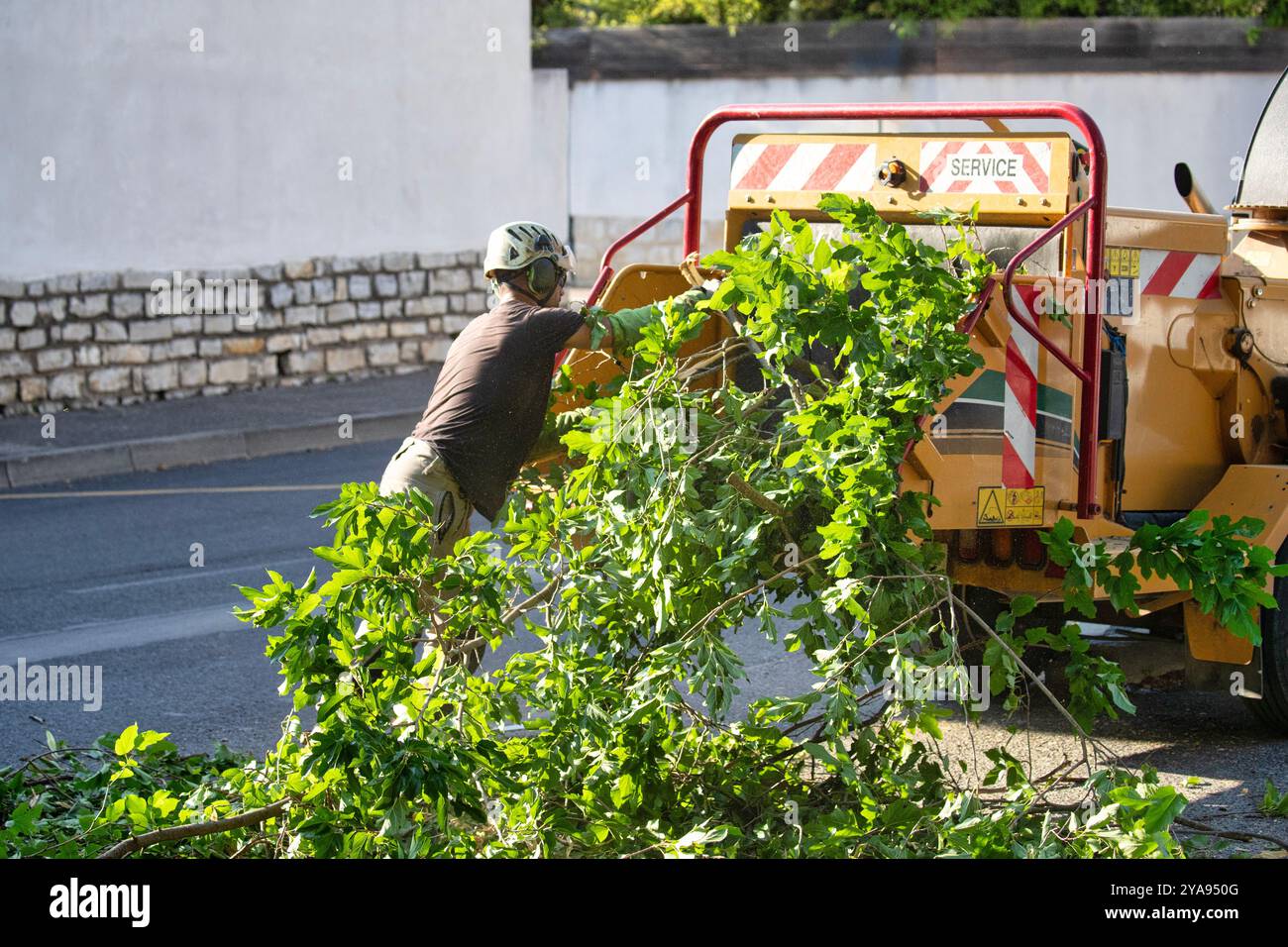 Ein städtischer Landschaftsbauer, der sich mit der Sammlung und Bewirtschaftung von umweltfreundlichen Abfallstoffen befasst Stockfoto