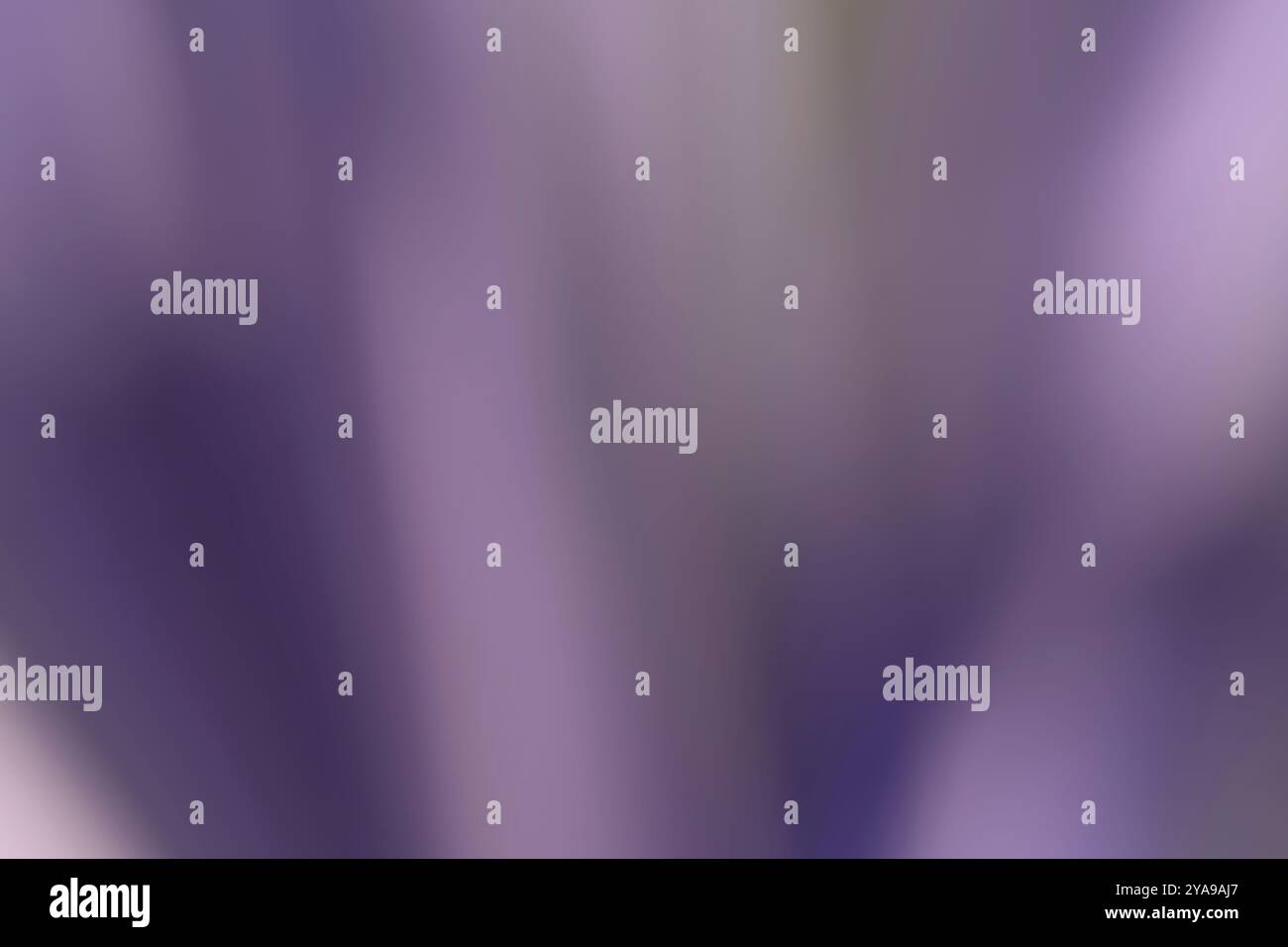 Abstrakter unscharfer Hintergrund oder Textur von Violett- und Grüntönen Stockfoto