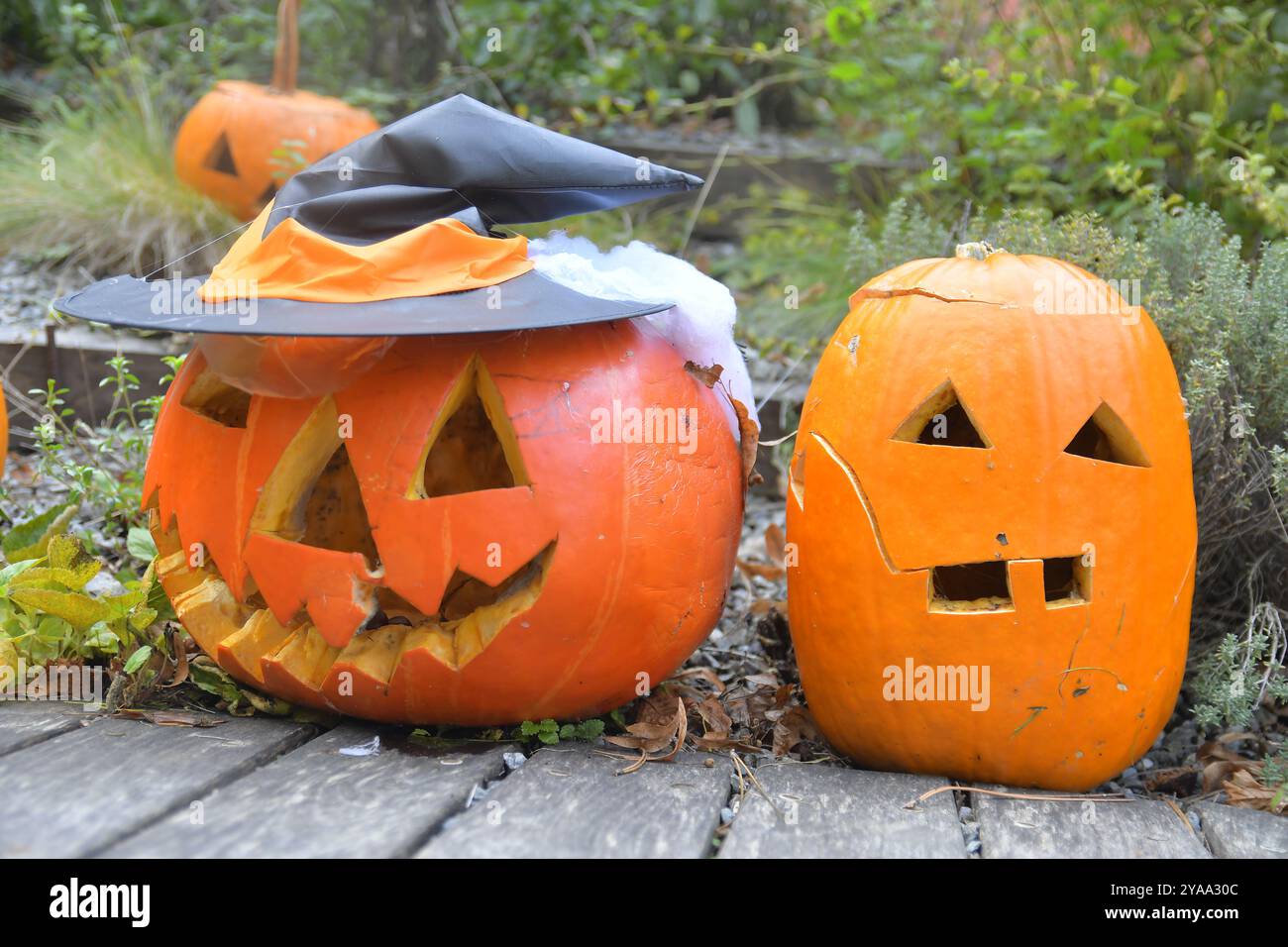 Halloween Kürbisse in der Stadt. Halloween in der Stadt. Stockfoto