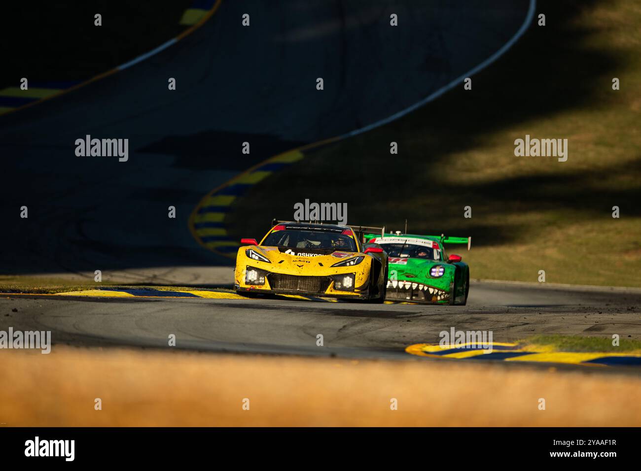 03 GARCIA Antonio (esp), SIMS Alexander (gbr), JUNCADELLA Daniel (esp), Corvette Racing von Pratt Miller Motorsports, Corvette Z06 GT3.R, Aktion während der Motul Petit Le Mans 2024, 11. Runde der IMSA Sportscar Championship 2024, vom 10. Bis 12. Oktober 2024 auf der Michelin Raceway Road Atlanta in Braselton, Georgia, Vereinigte Staaten von Amerika - Joao Live News Stockfoto