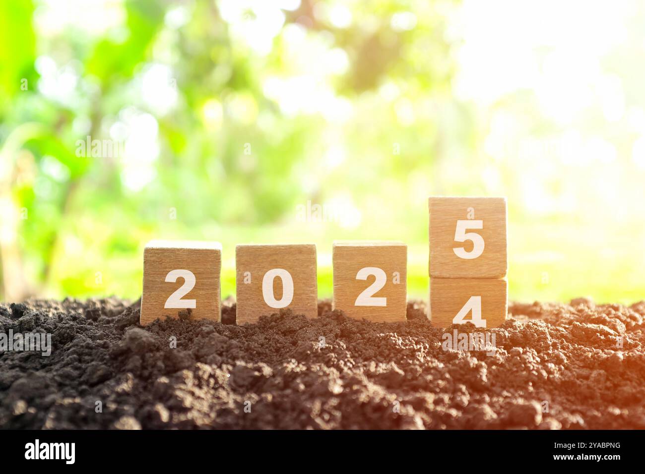 Handwechseljahr 2024 bis 2025 in Holzblöcken mit wachsender Pflanze bei Sonnenaufgang. Willkommen zum neuen Jahr 2025 und auf Wiedersehen 2024. Stockfoto