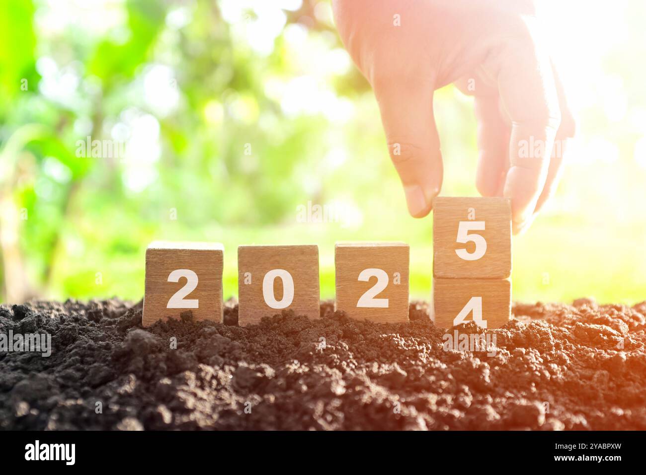 Handwechseljahr 2024 bis 2025 in Holzblöcken mit wachsender Pflanze bei Sonnenaufgang. Willkommen zum neuen Jahr 2025 und auf Wiedersehen 2024. Stockfoto