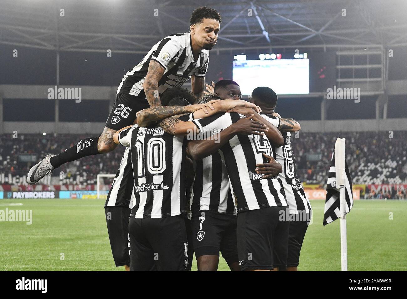 Rio de Janeiro, Brasilien, 18. August 2024. Fußballspiel zwischen Botafogo und Flamengo für die brasilianische Meisterschaft 2024 im Nilton Santos stadiu Stockfoto