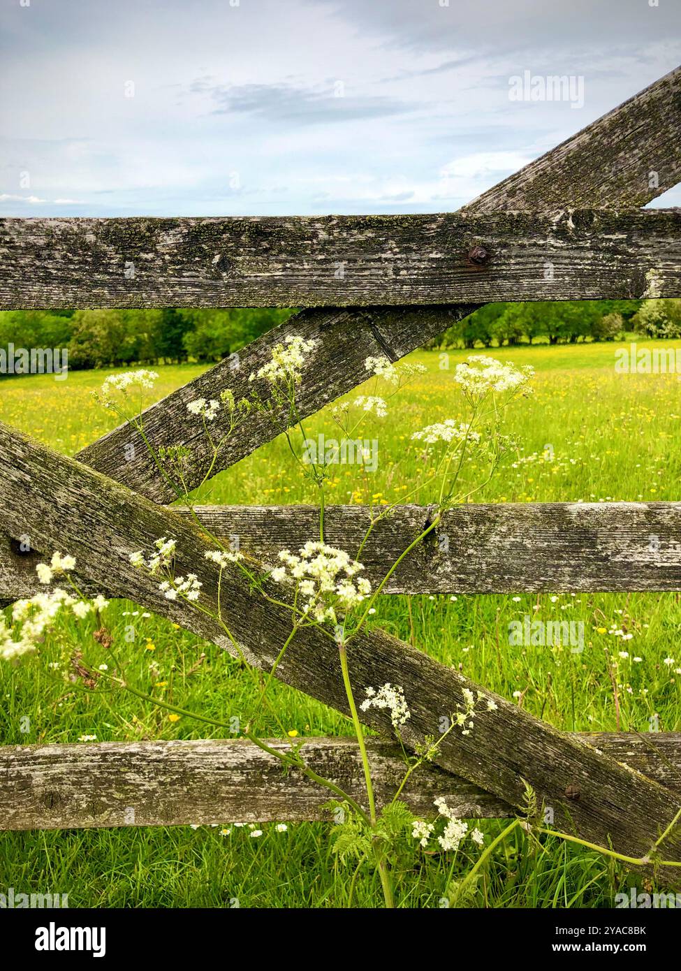 Ein Farmtor in Derbyshire, England, Großbritannien Stockfoto
