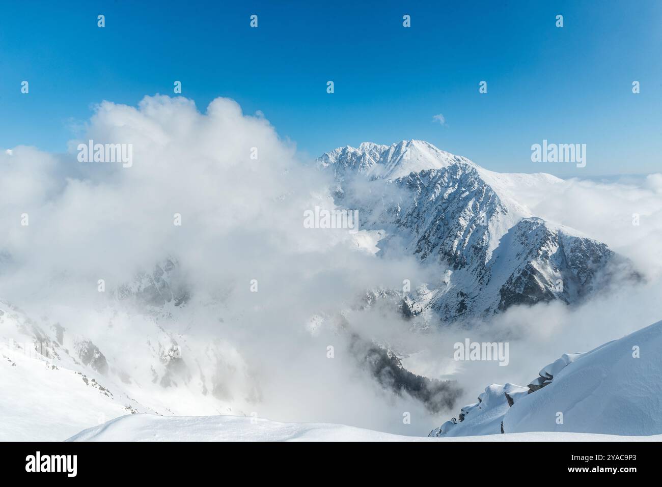 Zlomiskova veza, Koncista, Gerlachovsky Stit und Zadny Gerlach vom Gipfel Patria in der Hohen Tatra in der Slowakei bei teilweise bewölktem Sieg Stockfoto