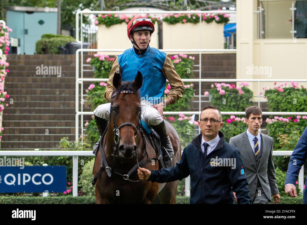 Ascot, Großbritannien. September 2024. DIEGO VENTURA (Nr. 1), geritten von Jockey James Doyle, gewinnt das Juddmonte British EBF Restricted Novice Stakes (Klasse 2) (für Pferde in den Bands A, B, C und D) (GBB) Race beim Big Food and Festival Weekend unterstützt von Chapel Down auf der Ascot Racecourse in Berkshire. Besitzer Wathnan Racing, Trainer Hamad Al Jehani. Kredit: Maureen McLean/Alamy Stockfoto