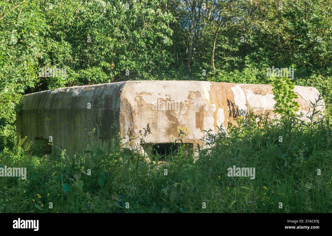 Alte verlassene Betonpillenkasten im Gras Stockfoto