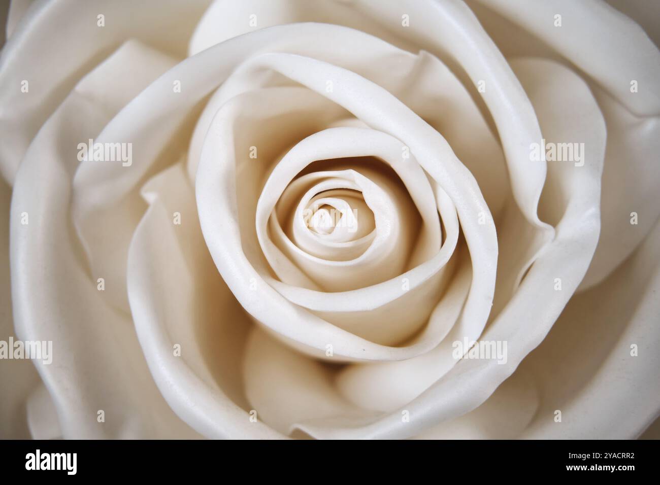 Große weiße Rose aus Stoff gefaltet, Blume aus Nahaufnahme Stockfoto