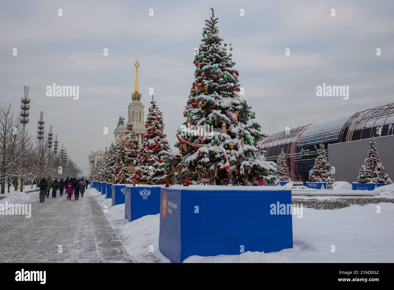 MOSKAU, RUSSLAND - 06. JANUAR 2024: Neujahrsbäume auf dem Territorium der VDNH. Moskau Stockfoto