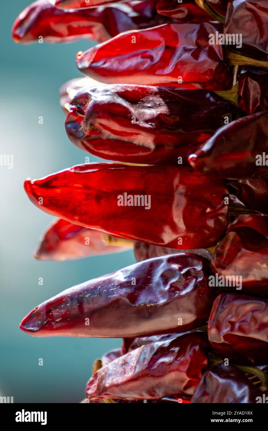 Piment d'Espelette, getrocknete rote heiße Chilischoten aus dem Dorf Espelette im Baskenland in den Bergen, Frankreich, Gewürz, französische Gewürze Stockfoto