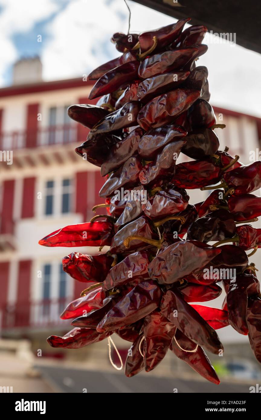 Piment d'Espelette, getrocknete rote heiße Chilischoten aus dem Dorf Espelette im Baskenland in den Bergen, Frankreich, Gewürz, französische Gewürze Stockfoto