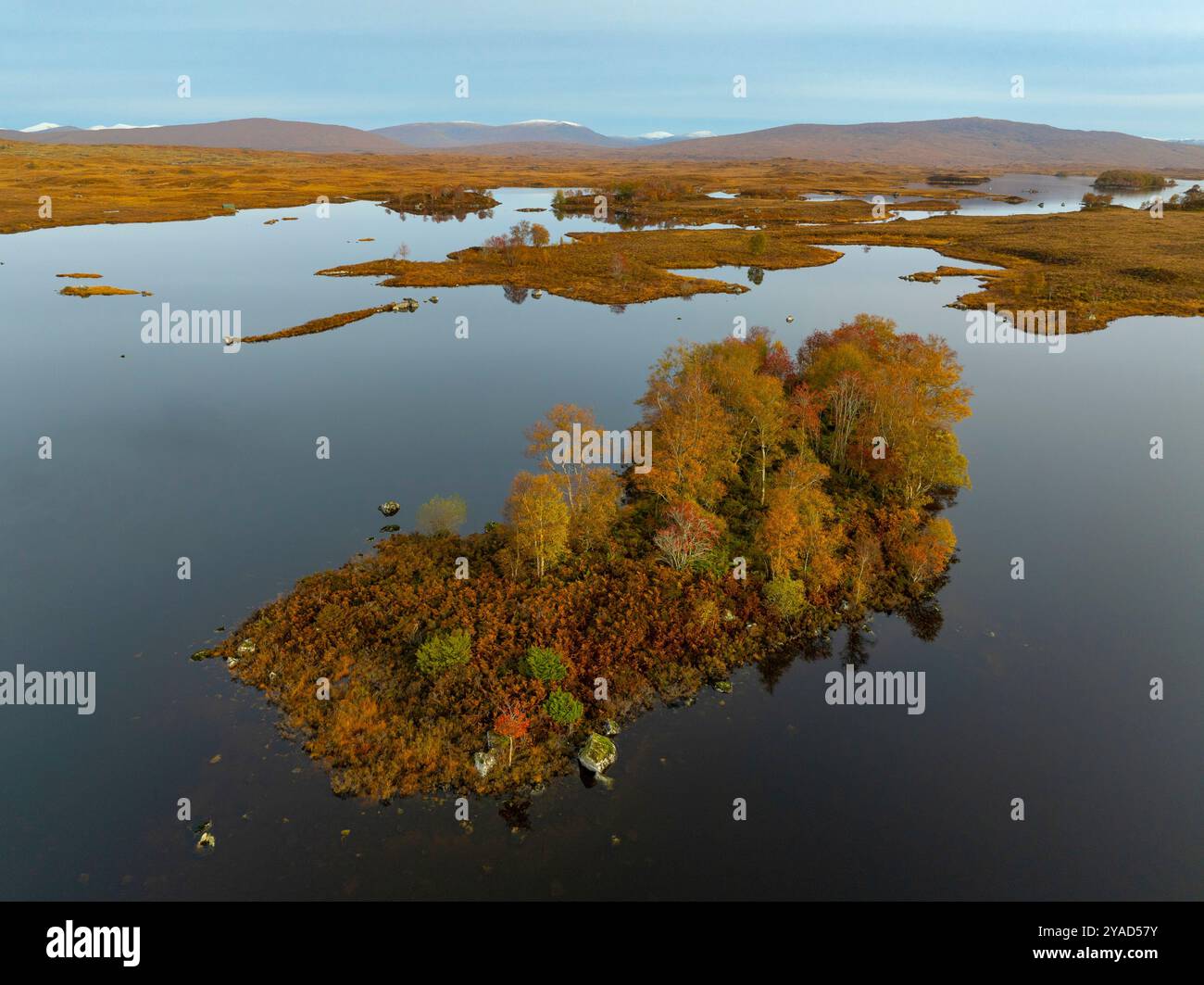 Glen Coe, Schottland, Großbritannien. Oktober 2024. Aus der Vogelperspektive von der Drohne auf Loch Ba im Rannoch Moor mit Bäumen, die Herbstfarben zeigen. Iain Masterton/Alamy Live News Stockfoto