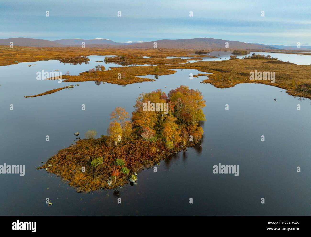 Glen Coe, Schottland, Großbritannien. Oktober 2024. Aus der Vogelperspektive von der Drohne auf Loch Ba im Rannoch Moor mit Bäumen, die Herbstfarben zeigen. Iain Masterton/Alamy Live News Stockfoto