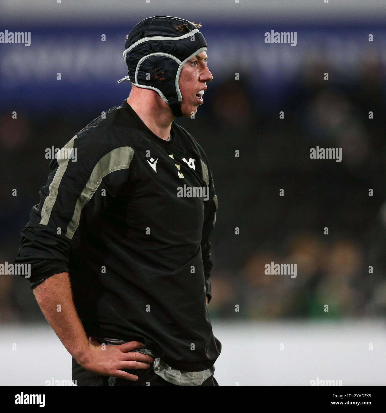 Swansea, Großbritannien. 12. Oktober 2024. Adam Beard of Ospreys während des Spiels Ospreys gegen Bulls URC Rugby. Gruffydd Thomas/Alamy Stockfoto