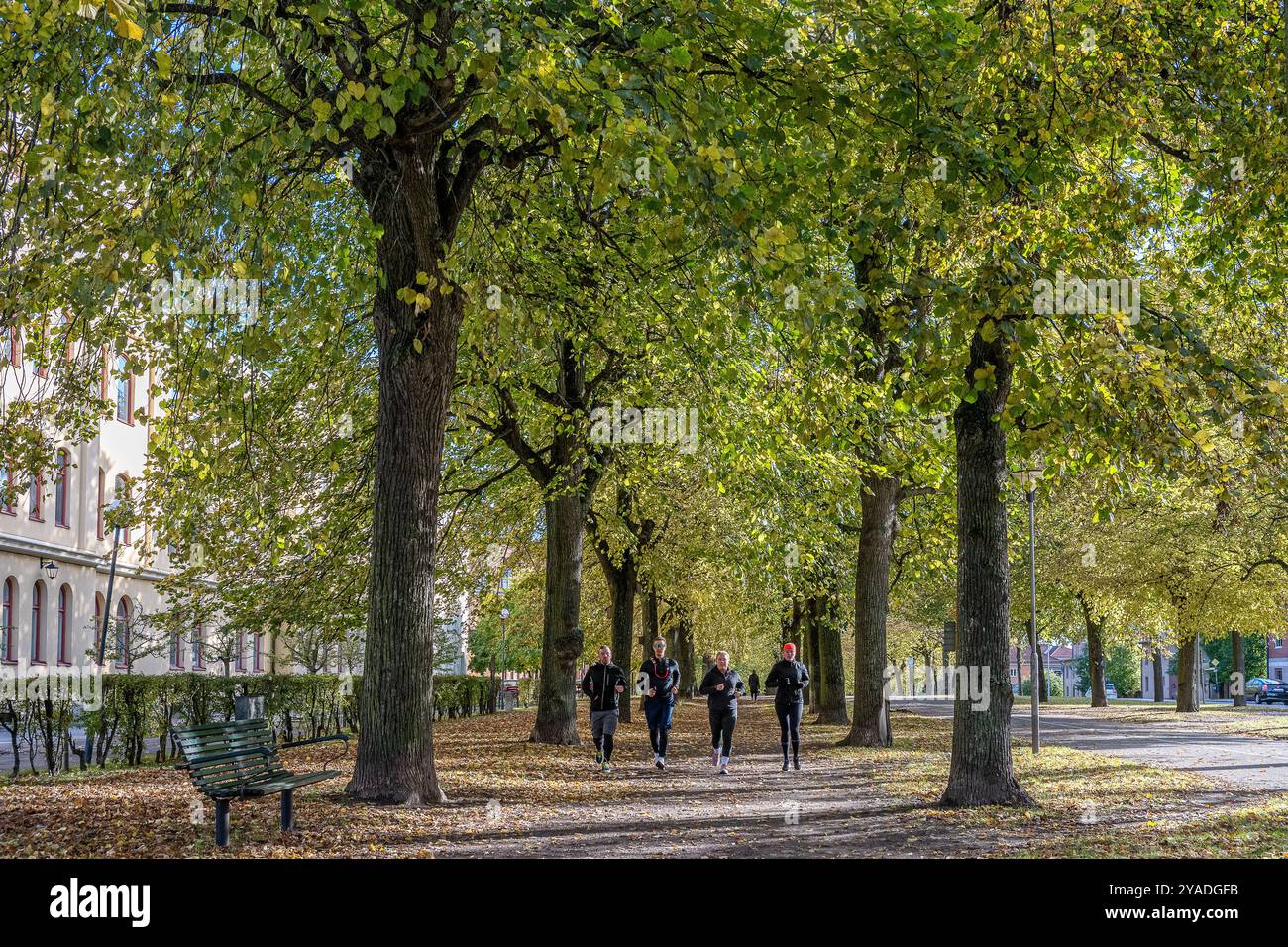 Die Südpromenade im Herbst in Norrköping, Schweden. Die Promenaden in Norrköping wurden von Pariser Boulevards und der Ringstraße in Wien inspiriert Stockfoto