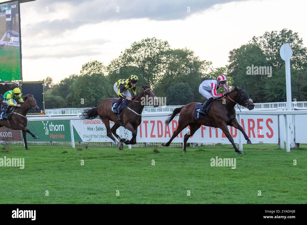 Windsor, Berkshire, Großbritannien. August 2024. ARKHALIA FLYNN, geritten von Jockey George Bass, gewinnt den Kelly Chapman, Platinum Air Cargo UK Handicap Stakes (Klasse 4) auf der Royal Windsor Racecourse in Windsor, Berkshire. Besitzer John & Zoe Webster, Trainer Jack Channon, West IIsley, Züchter Cheveley Park Stud Limited, Sponsor Jack Channon Racing Limited. Kredit: Maureen McLean/Alamy Stockfoto