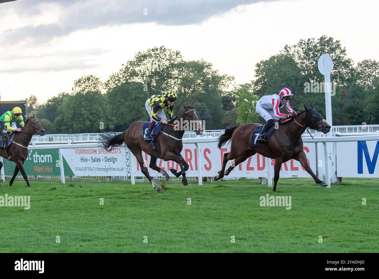 Windsor, Berkshire, Großbritannien. August 2024. ARKHALIA FLYNN, geritten von Jockey George Bass, gewinnt den Kelly Chapman, Platinum Air Cargo UK Handicap Stakes (Klasse 4) auf der Royal Windsor Racecourse in Windsor, Berkshire. Besitzer John & Zoe Webster, Trainer Jack Channon, West IIsley, Züchter Cheveley Park Stud Limited, Sponsor Jack Channon Racing Limited. Kredit: Maureen McLean/Alamy Stockfoto