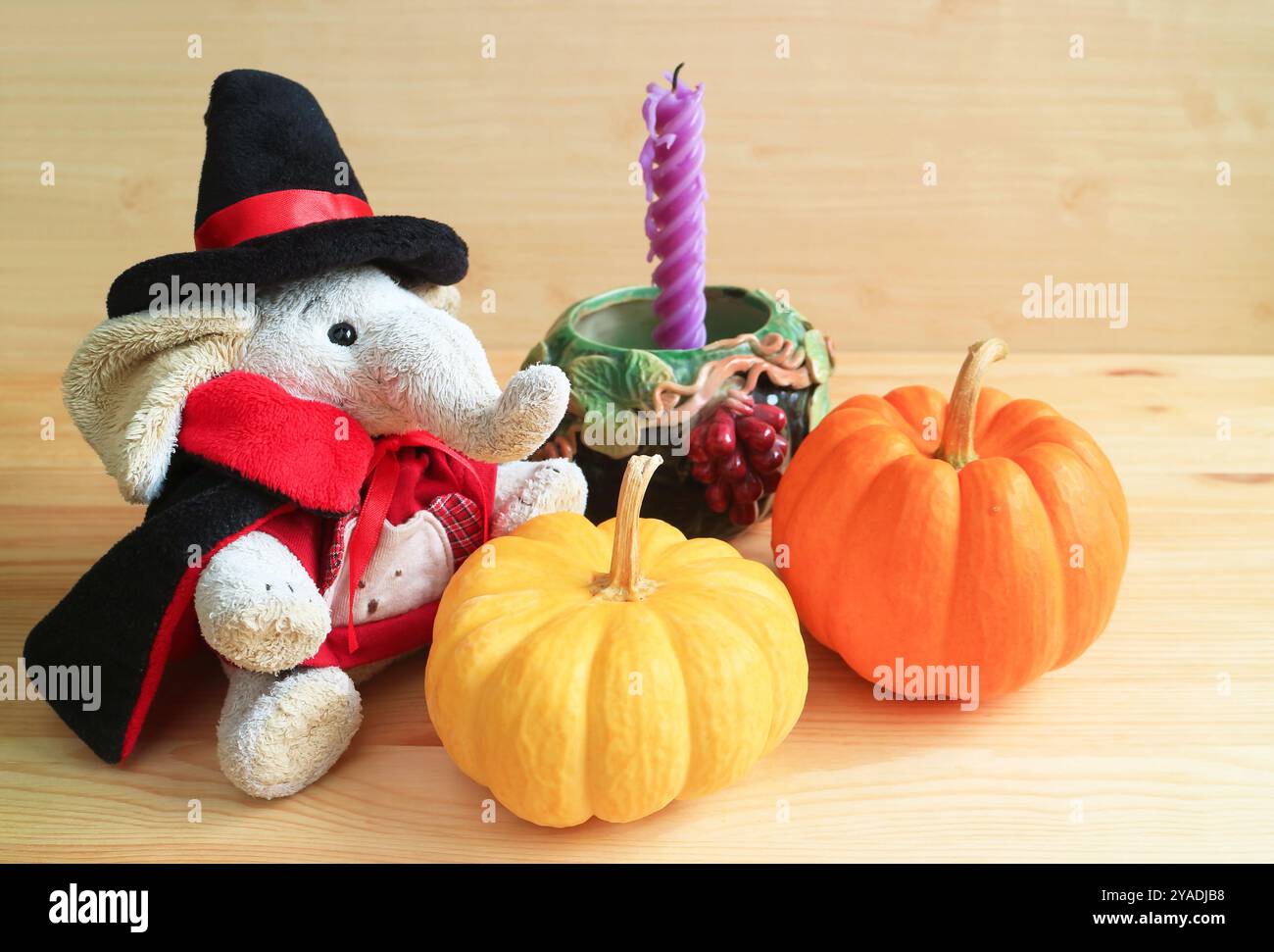 Niedliche Elefantenpuppe im Zaubererkostüm mit Kürbissen und saisonaler Dekoration Stockfoto