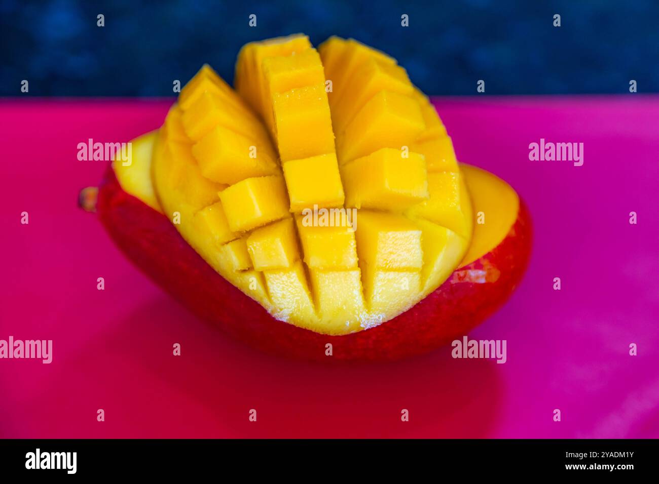 Brasilianische Mangos der Palmer-Art, reif und isoliert Stockfoto