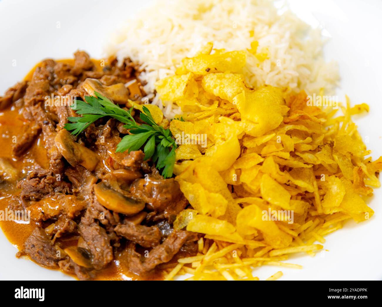 Traditionelles Filet Mignon Stroganoff mit Pilzen, Pommes frites und Reis Stockfoto