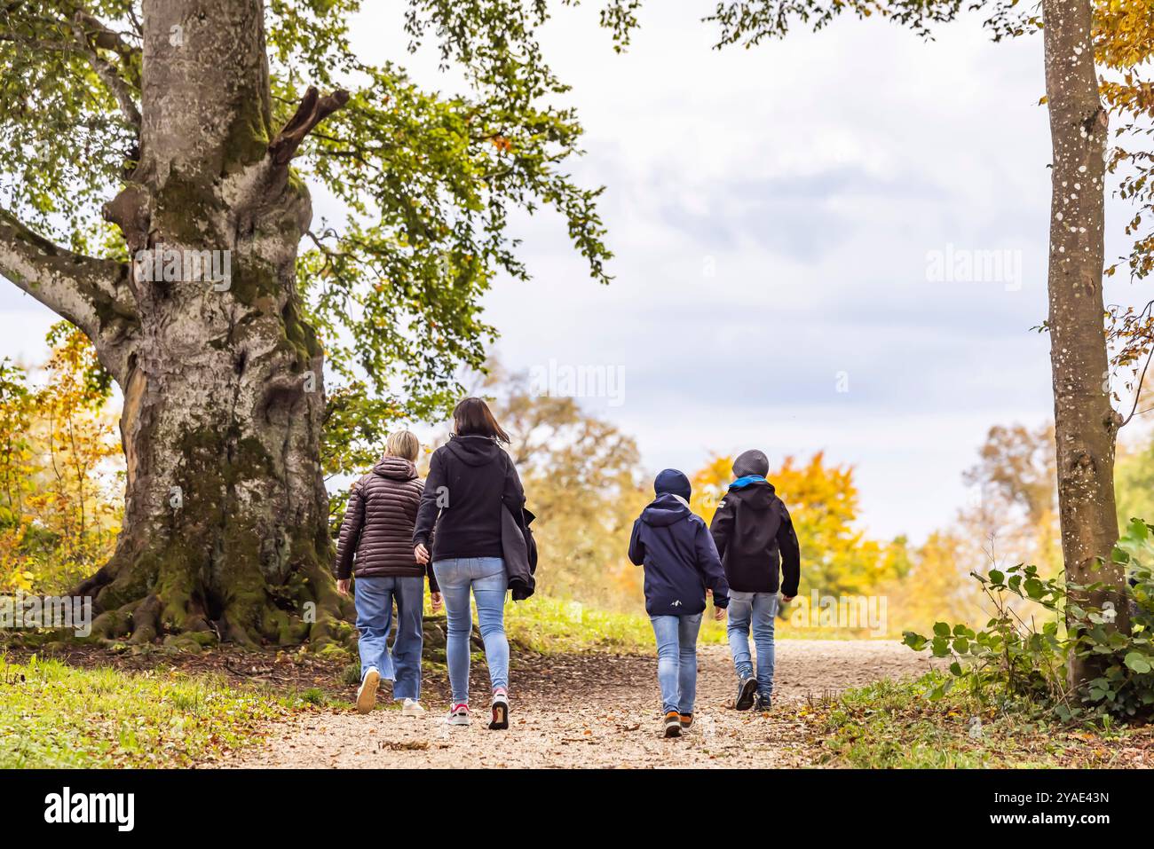 Herbstwanderung auf der Schwäbischen Alb bei Eningen. // 13.10.2024: Eningen unter Achalm, Baden-Württemberg, Deutschland *** Herbstwanderung in den Schwaben Stockfoto