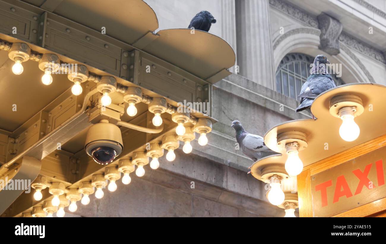 New York City, American Grand Central Terminal Bahnhof Gebäude, 42 Street. Manhattan Midtown. Gelber Taxikiosk, Telefonzelle mit Glühlampen am Pershing Square, NYC, USA. Taubenvogel. Stockfoto