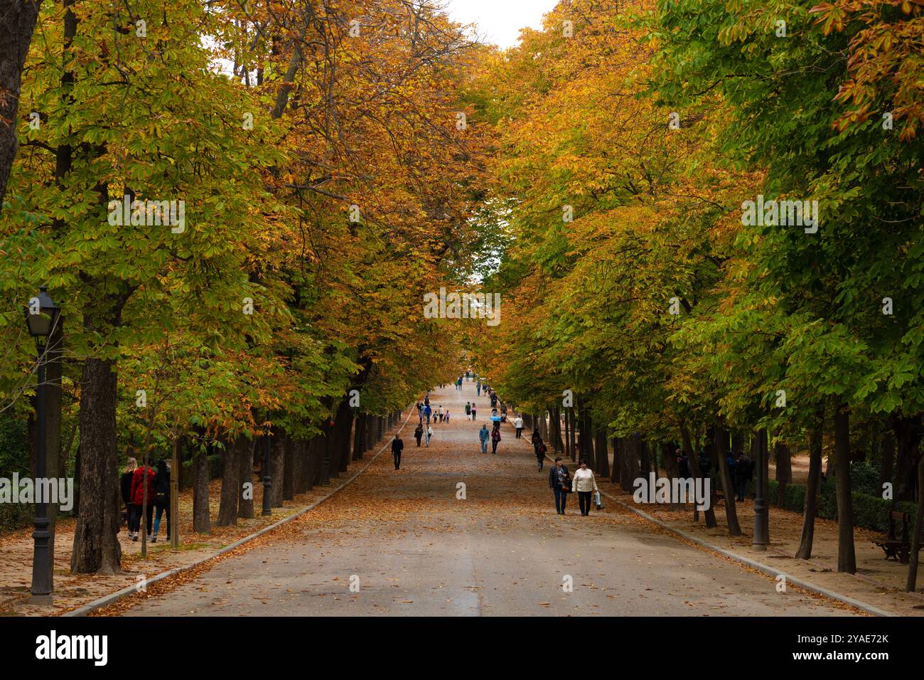 Retiro, Madrid, Spanien, Europa Stockfoto
