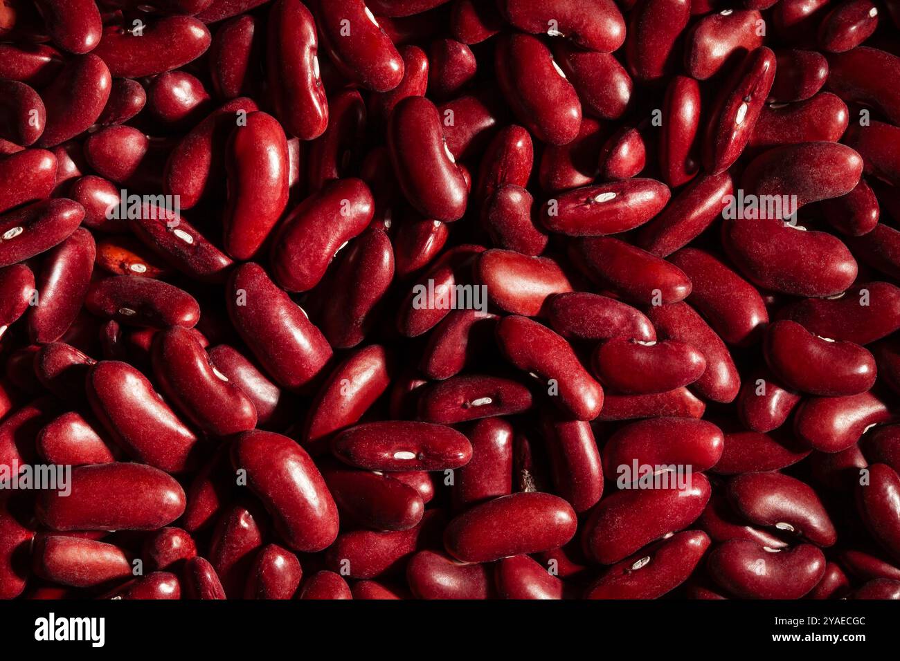 Textur der roten Kidneybohnen von oben Stockfoto