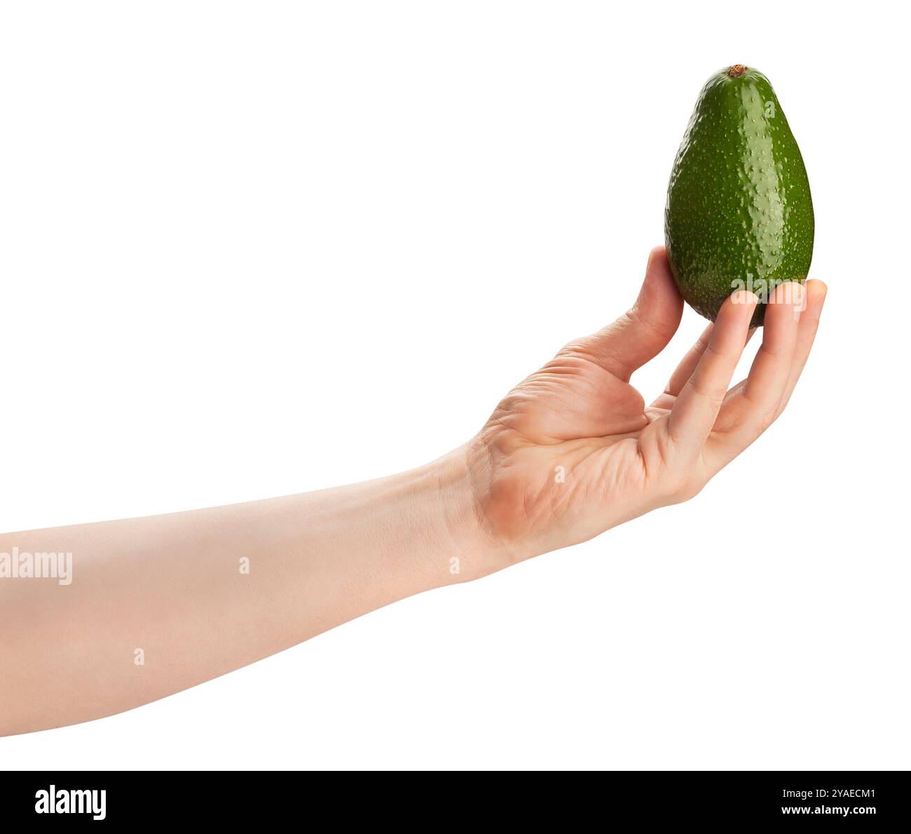 Avocado in der Hand Pfad isoliert auf weiß Stockfoto